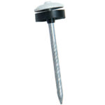 Pte Parapluie Annelée Galva blanche 65x3.7mm rondelle RAL9010-Bte 100