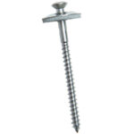 Vis Parapluie Inox 18/10 Clair 65x4.5mm à Tête Torx n°20 - Box 50
