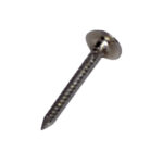 Pointe TEL Annelée Inox 17% 30x2.7mm-Box 1kg