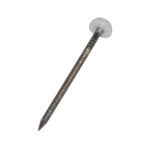 Pointe Tête Plastique Blanche Annelée Inox 18/12 65x3.1mm-Box 100