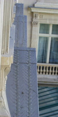 Protection anti-oiseaux